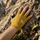 Trail gloves with touchscreen fingertips and grip palm - mustard merino wool half finger gloves on men, rock touch view