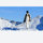 Breathable 3-layer ski jacket and pants set - white olive green and brown colorblock suit with white pants 88