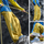Unisex fleece-lined water-repellent hiking pants - yellow fleece-lined hiking pants with blue top