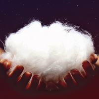 
                  
                    Blizzard full finger snow gloves all day warmth - glove insulation fill, warm cotton close-up, for winter mountain trips
                  
                