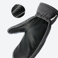 
                  
                    Blizzard X snow mittens for extreme winter sports - black snow mittens, palm view with inset, for winter mountain trips
                  
                