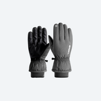
                  
                    Insulated winter sports gloves with grip palm - gray full-finger snow gloves, pair front view, for skiing and snowboarding
                  
                